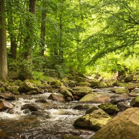 Nexoe, 30 Qm, Ein Schlafzimmer N1 Hébergement de vacances Ilsenburg