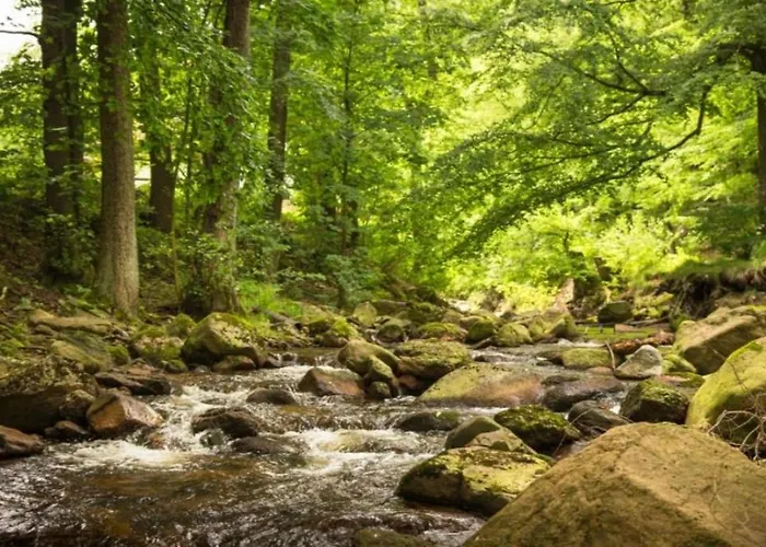 Nexoe, 30 Qm, Ein Schlafzimmer N1 度假居 伊尔森堡